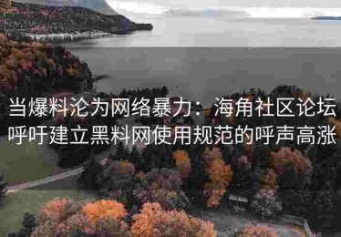 当爆料沦为网络暴力：海角社区论坛呼吁建立黑料网使用规范的呼声高涨
