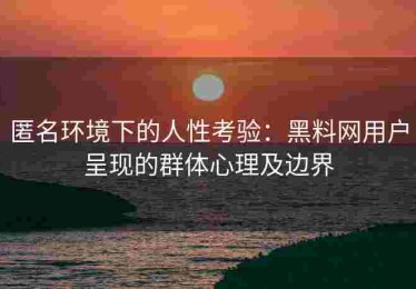 匿名环境下的人性考验：黑料网用户呈现的群体心理及边界