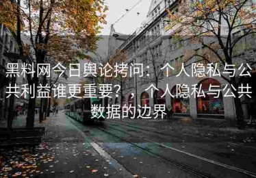 黑料网今日舆论拷问：个人隐私与公共利益谁更重要？，个人隐私与公共数据的边界