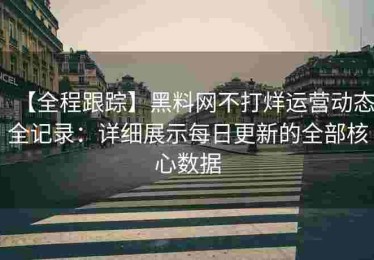 【全程跟踪】黑料网不打烊运营动态全记录：详细展示每日更新的全部核心数据