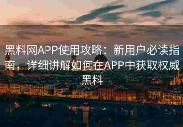 黑料网APP使用攻略：新用户必读指南，详细讲解如何在APP中获取权威黑料
