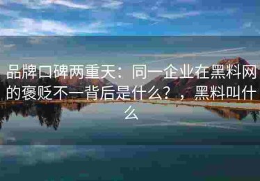 品牌口碑两重天：同一企业在黑料网的褒贬不一背后是什么？，黑料叫什么