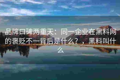 品牌口碑两重天：同一企业在黑料网的褒贬不一背后是什么？，黑料叫什么