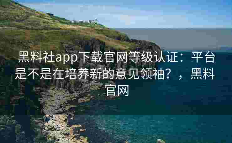 黑料社app下载官网等级认证:平台是不是在培养新的意见领袖?,黑料 官网 黑料社app下载官网等级认证:平台是不是在培养新的意见领袖?,黑料 官网